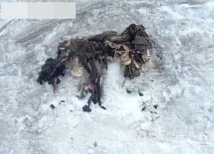 阿尔卑斯山冰川 阿尔卑斯山惊现一战“冰兵” 谜题待解答