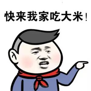 吃大米会胖吗 经常吃大米会不会胖