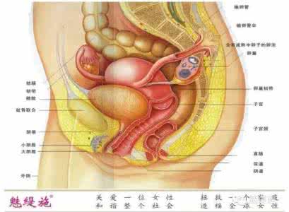 让私处致癌的生活习惯排行榜