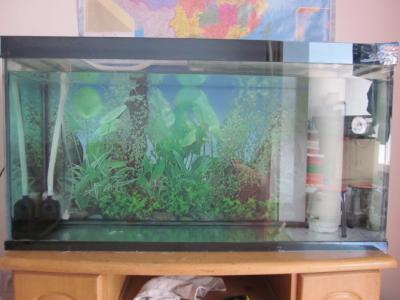 反气举滤筒 鱼缸上滤系统好帮手：自制反气举滤筒全过程，图文并茂，轻松入手！