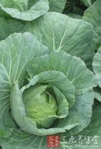 番茄防癌 优良防癌食物番茄和椰菜