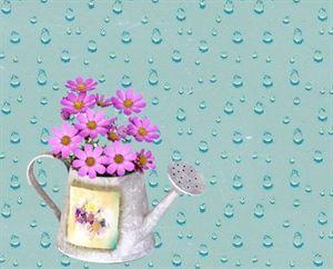 青春絮语 雨,花的微笑春之絮语