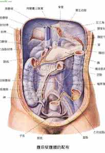 安庆地理位置 安庆一患者内脏位置与正常人相反