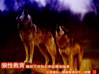 如何成为强者 狼性教育——让孩子成为强者的教育