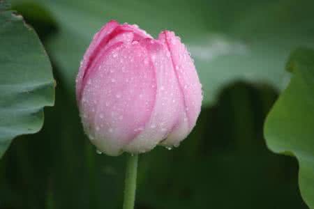 豁然开朗的句子 令人豁然开朗的13句话