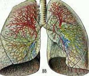 双肺下叶间质性纤维化 间质性纤维化 什么是双肺下叶间质性纤维化及治疗方_间质性纤维化