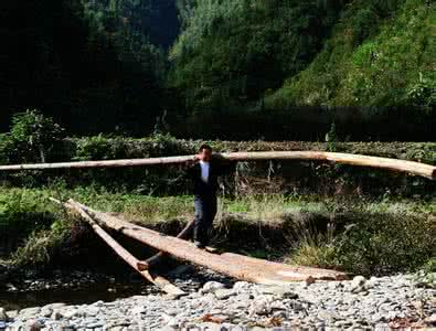 梦见过独木桥 梦见独木桥 梦见过独木桥