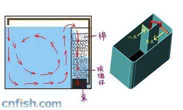 鱼缸有底沙 如何过滤 鱼缸有底沙 如何过滤 临产在即,顺还是剖?留下的后遗症孕妇心里要有底