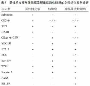 免疫组化指标的意义 大盘点：常用肿瘤免疫组化指标意义