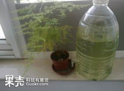 手工自动浇水简易装置 手把手制作自动浇水装置，养好你的花草！