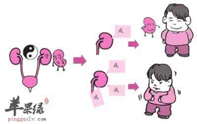 饮食不规律的危害 男性饮食要规律 预防身体3把火