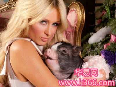 梦见爱人死了 梦见爱人死了 梦见妻子死了