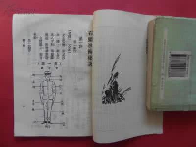 典传国术 【典传国术】传统拳之“根梢合一如铁棍”
