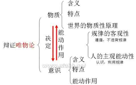 唯物论和辩证法 谈谈马克思主义哲学原理的辩证的唯物论和唯物的辩证法等？