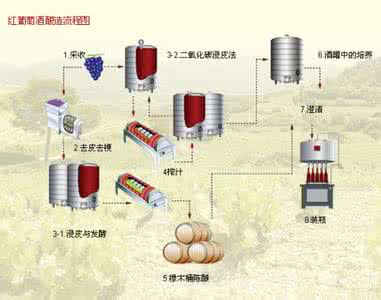 葡萄酒酿制过程 图解酿制葡萄酒全过程