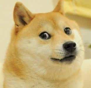 doge脸 手机怎么把脸p成doge