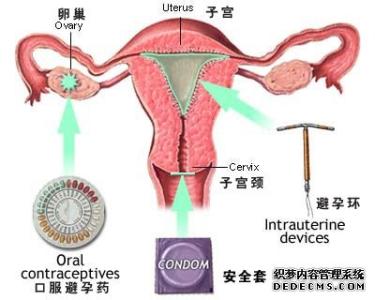 避孕药的原理是什么 避孕药的原理是什么 女性安全期的避孕原理