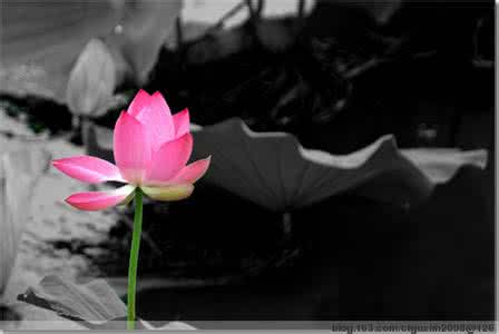 那份爱留在我心底 守望——心底深处的那份爱......