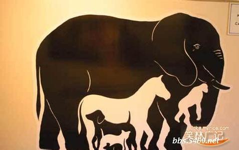 粉红大象 心理学 大象心理学代表什么?