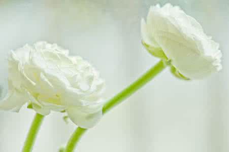 把时间花在经典上