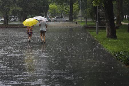 厚积落叶听雨声读后感 雨,落在校园里读后感 雨,落在校园里
