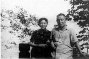 蒋介石回归大陆 蒋介石回归梦被击碎：曾愿回大陆任国民党总裁