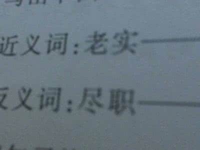 老实的近义词是什么 老实的近义词 老实近义词是什么？