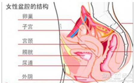 盆腔炎的症状有哪些 盆腔炎与哪些因素有关