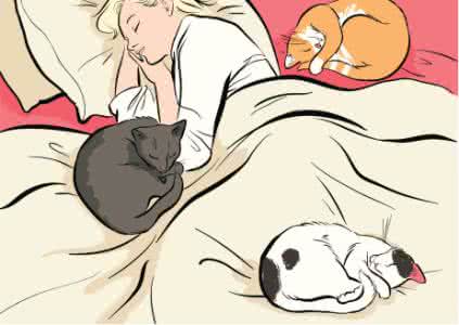 肥胖的主要决定因素 三大睡眠因素可控制肥胖