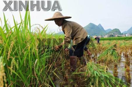 冬至农事 夏至农事