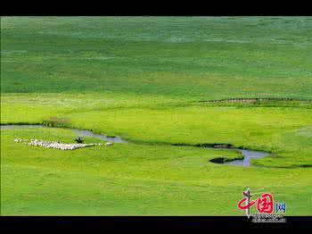 草原歌曲大全100首在线播放 蒙古高原