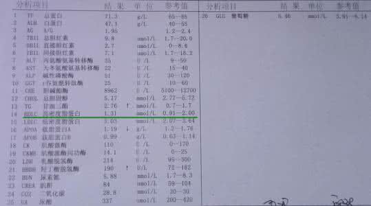 医院检查的血脂化验单 化验单24  血脂的功和过