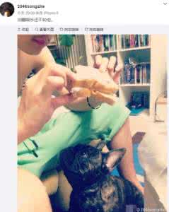 宋喆小号 疑似宋喆小号曝光：不多要一分钱 儿子必须给我