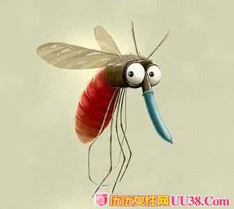 防蚊灭蚊宣传知识要点 防蚊灭蚊就用5招 将恼人蚊子赶尽杀绝