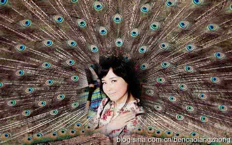 权利原来只是一个陷阱 逃避权利是女人最大的自我陷阱