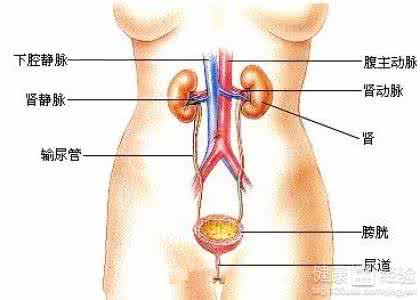 隐匿性肾炎症状 隐匿性肾炎症状 隐匿性肾炎 它的症状有哪些