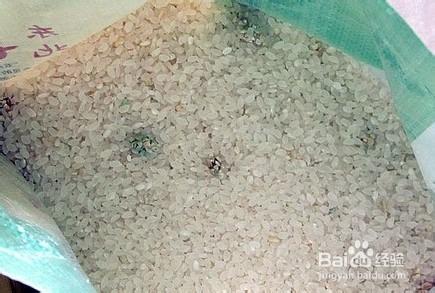 大米发霉处理妙招 大米发霉怎么办