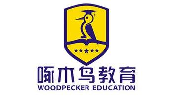 啄木鸟教育怎么样 啄木鸟教育怎么样？