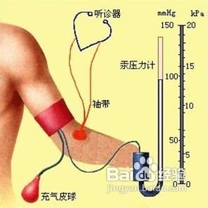 血压高与肾脏 血压正常范围是多少 测量血压要注意什么