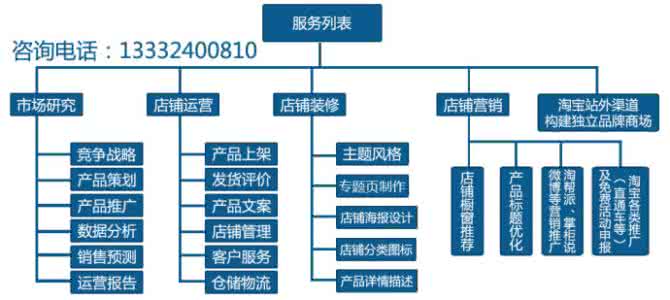 公司运营策划方案 一个新公司的运营方案 运营策划方案