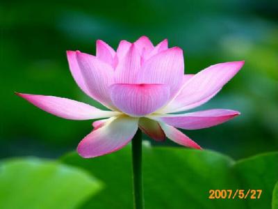 死亡赋予生命意义 静默独处，赋予生命一片温柔