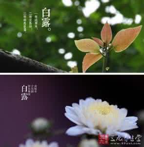 白露节气 白露节气 白露节气代表着什么意义