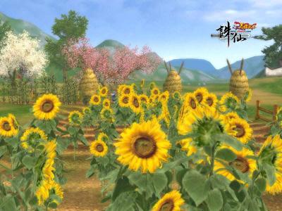 梦境的裂缝 当憧憬还可以灿烂一个美丽的梦境