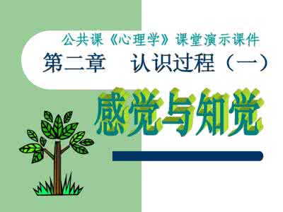 精品课件 公共心理学 公共心理学精品课件