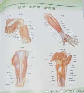 肌筋膜按摩疗法视频 直接肌筋膜按摩方法