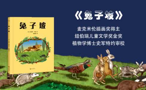 兔子坡绘本 兔子坡绘本 宝宝地带绘本+《兔子坡》免费试读发布