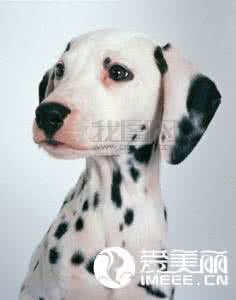 最有吸引力的女人特质 心理测试 你身上的什么特质容易吸引人