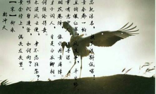 白衣卿相柳永 柳永，白衣卿相在青楼