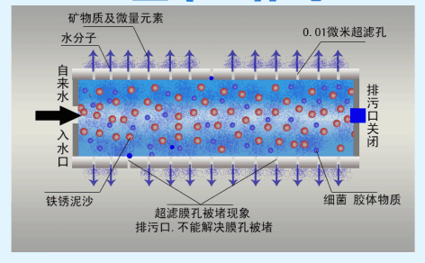 烛式过滤机 动态过滤机