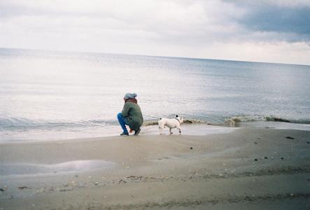 心事淡淡留给谁 经典大总结，选择最淡的心事，诠释坎坷的人生